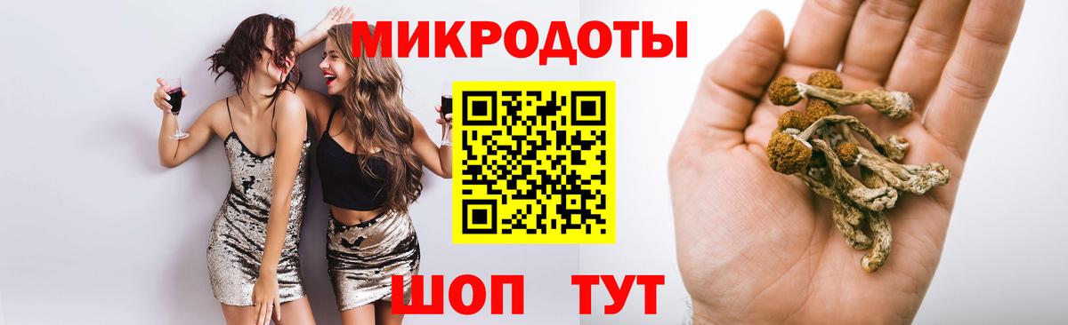 Псилоцибиновые грибы Magic Shrooms  Вход с VPN  Сургут  Псилоцибиновые грибы Psilocybe 